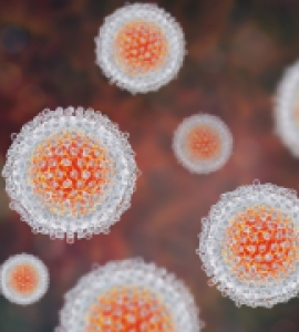 Visualization of Hep C 